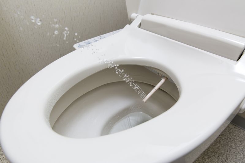 Bidet Repair Service detail